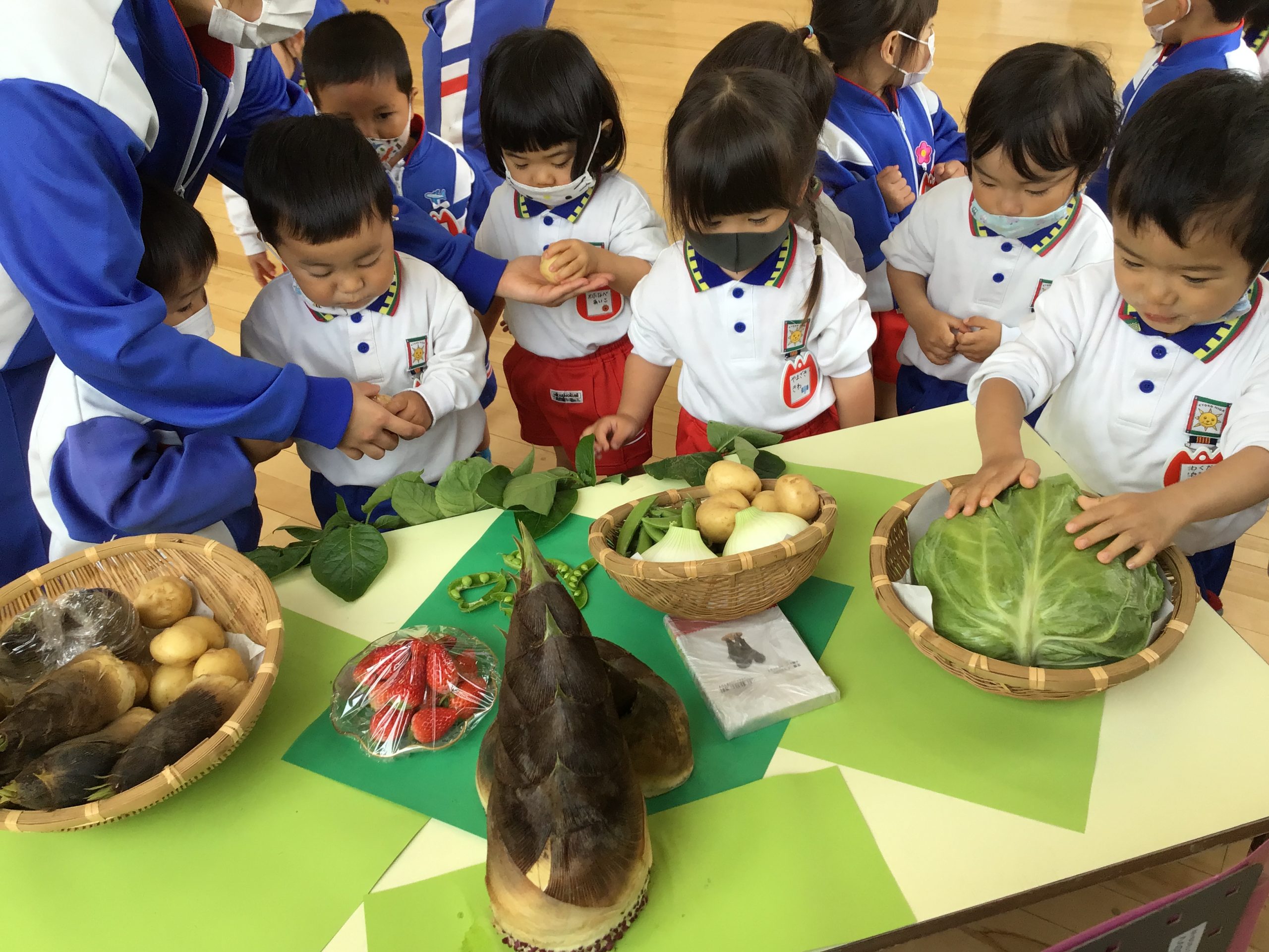 湖東幼稚園 | 春の旬の食材🍓